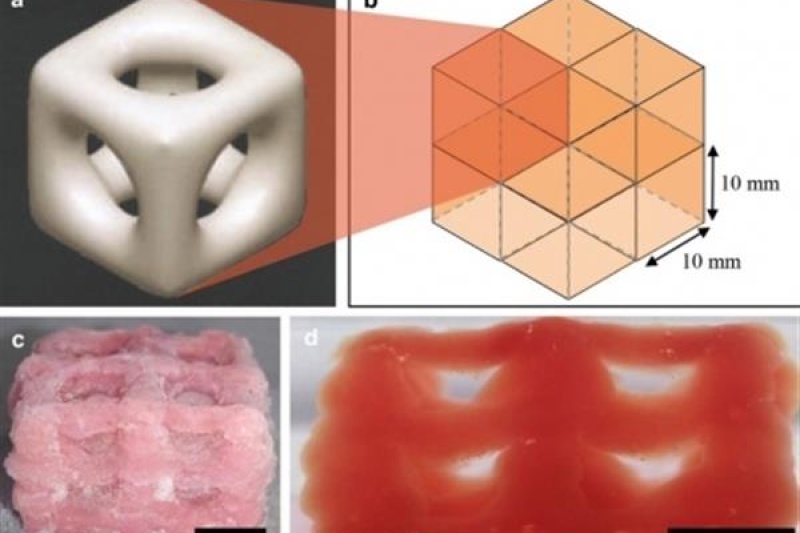 干冰新用法，3D打印+低温冷冻技术打造仿真人体的组织和器官