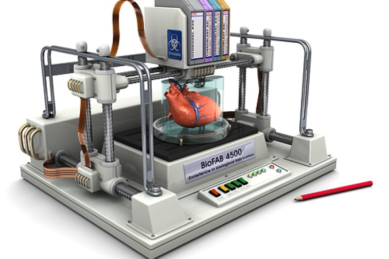 新研究用生物3D打印技术“打印”出微型肾脏